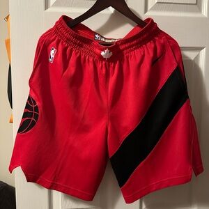 Nike NBA Raptors Swingman Shorts
